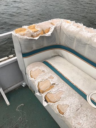 Ripped Boat Cushions